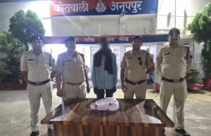 मादक पदार्थ गांजा के अवैध कारोबार के विरूद्ध कोतवाली अनूपपुर पुलिस द्वारा कार्यवाहीः गांजा सहित आरोपी गिरफ्तार
