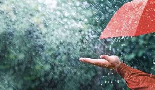 barish9-2.jpg