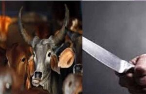 नौखड़ गांव में अज्ञात लोगों ने निर्ममता से पेड़ में बांधकर गौवंश का अंग-भंग कर की हत्या, क्षेत्र में तनाव का माहौल