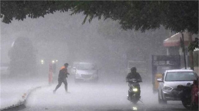 barish-11.jpg
