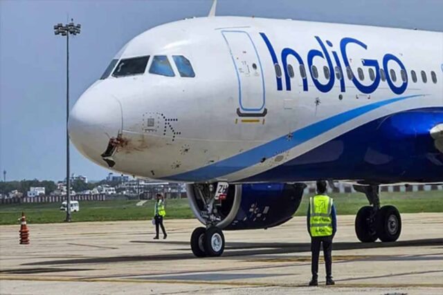 indigo.jpg