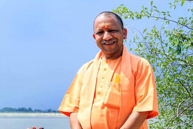 yogi-1.jpg