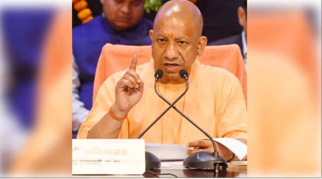 yogi-9.jpg