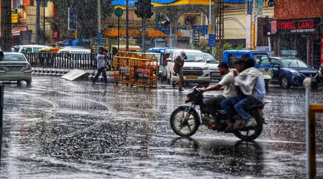 barish-13.jpg