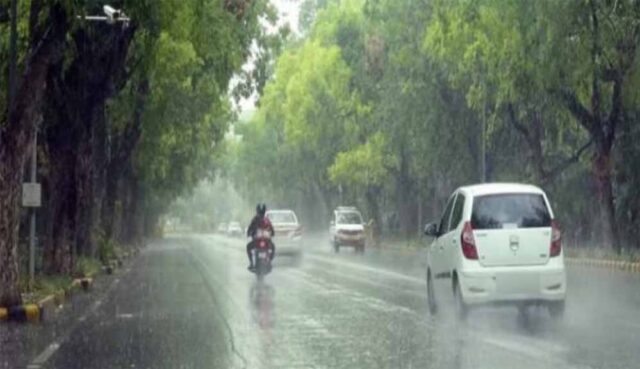 barish8-5.jpg