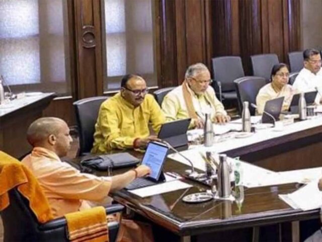 yogi-2.jpg