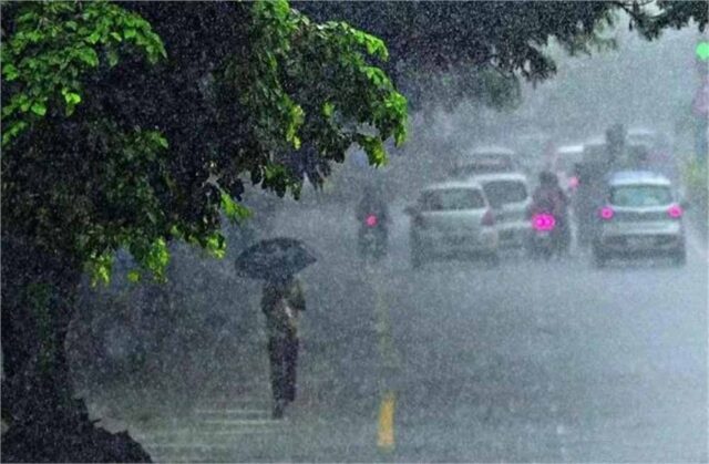 barish-10.jpg