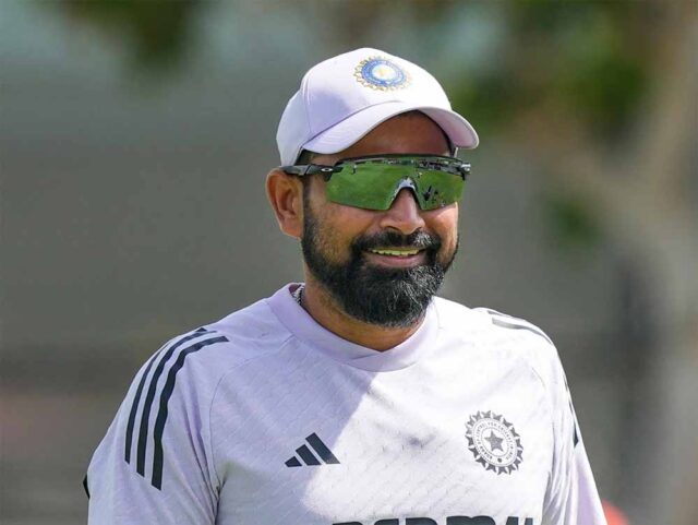 shami-1.jpg