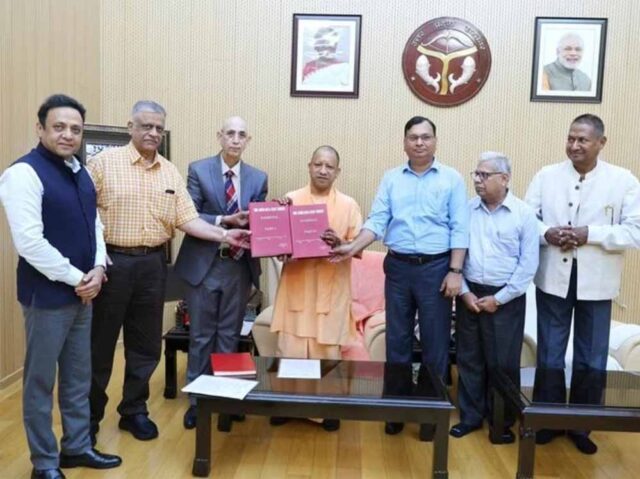 yogi-21.jpg
