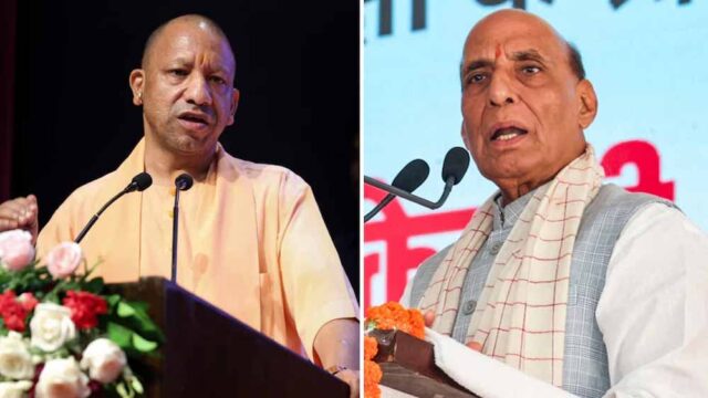 yogi-24.jpg