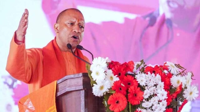 yogi-26.jpg