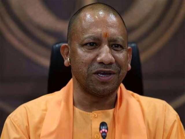 yogi-9.jpg