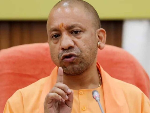 yogi3-12.jpg