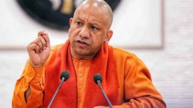 yogi3-7.jpg