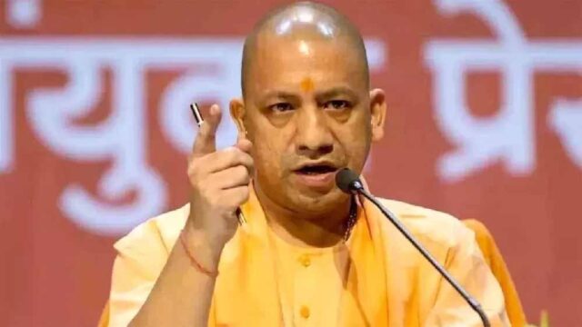 yogi9.jpg