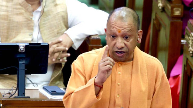 yogi_3A_111_1-2.jpg