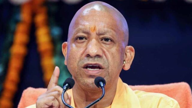 yogi_adi1.jpg