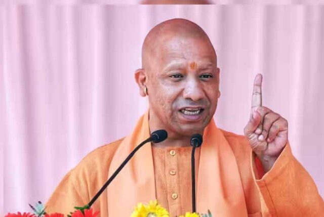 yogi_cm_132_1-1.jpg