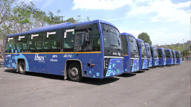 bus_81_2.jpg