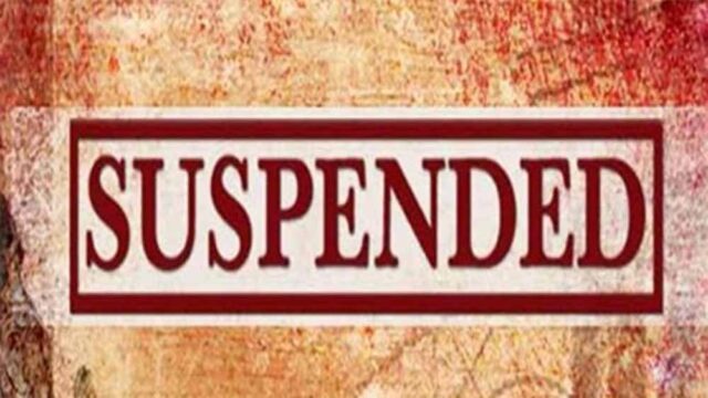 suspended.jpg