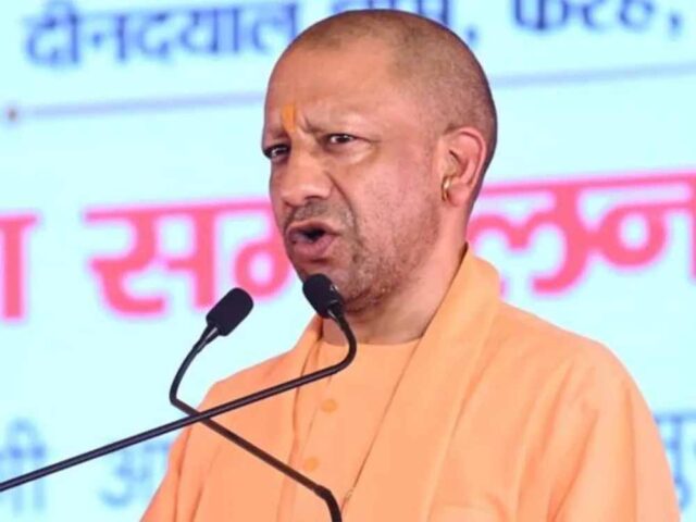 yogi-15.jpg