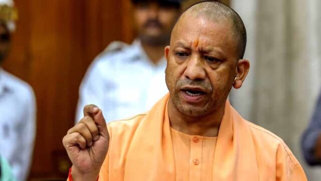 yogi-8.jpg