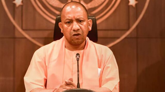 yogi2-11.jpg