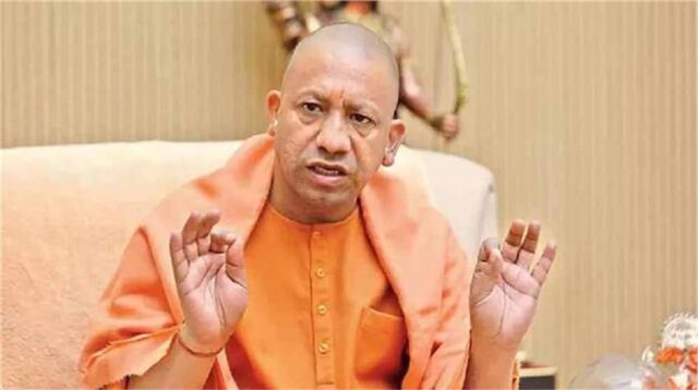 yogi3-12.jpg