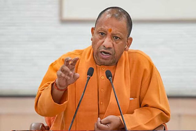 yogi_A_83_2-1.jpg