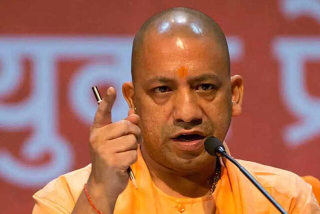 yogi_cm_132_3-1.jpg