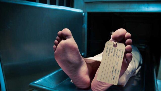 dead_2_2-2.jpg