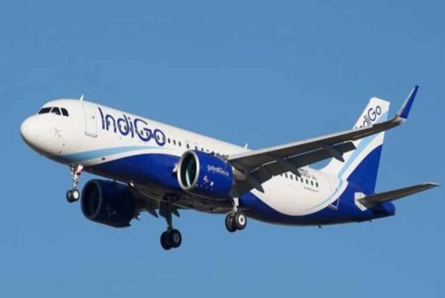 indigo154-2.jpg