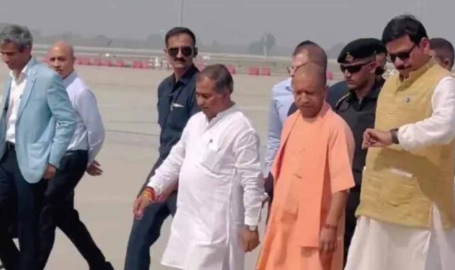 yogi-16.jpg
