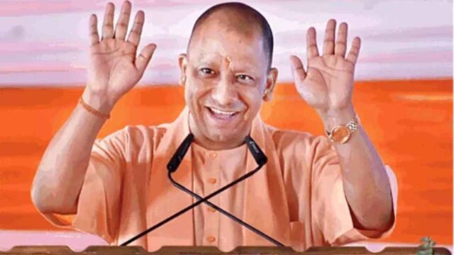 yogi-3.jpg