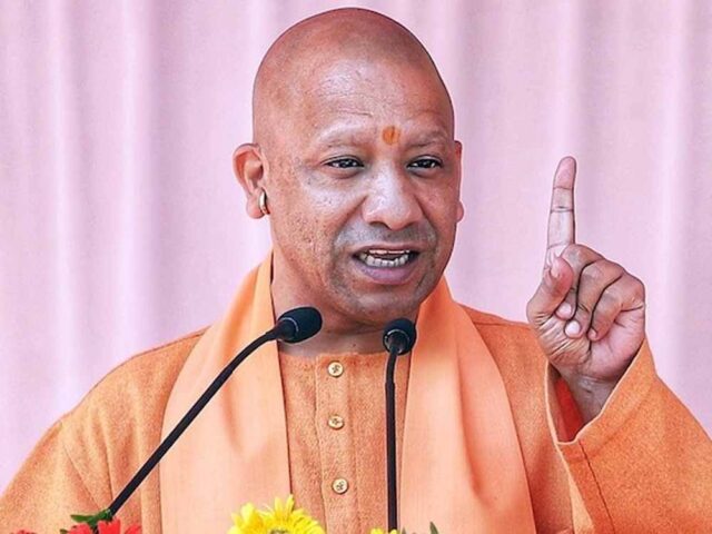 yogi-4.jpg