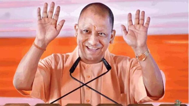 yogi3-17.jpg