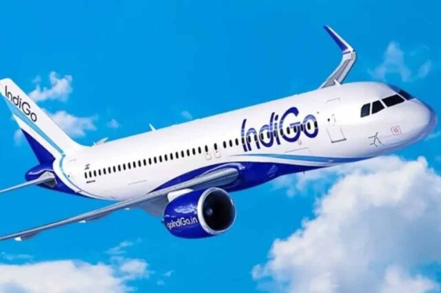 indigo.jpg