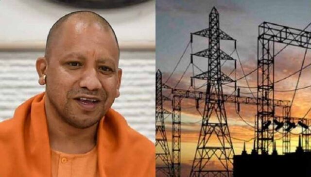 yogi-19.jpg