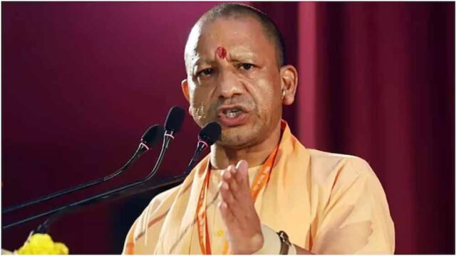 yogi-7.jpg