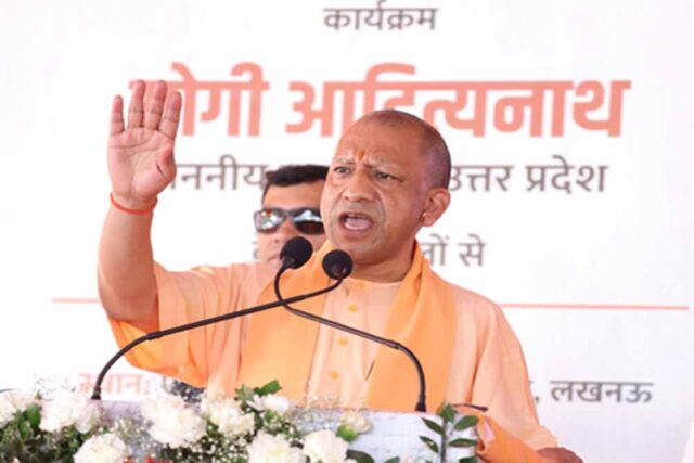 yogi-8.jpg