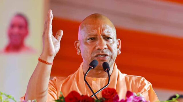 yogi3-6.jpg