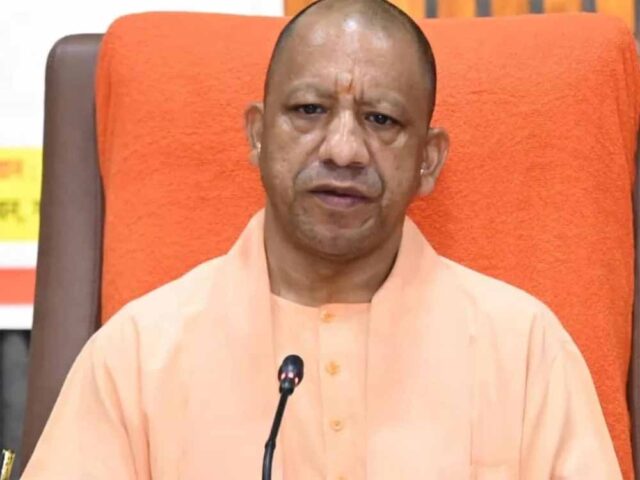 yogi3-8.jpg