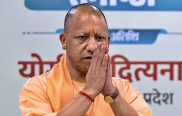 yogi_d_93_5-2.jpg