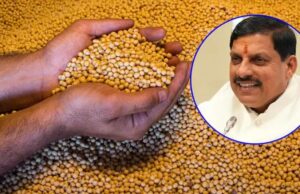 मोहन सरकार के दो साल: मध्य प्रदेश में खाद्यान्न उत्पादन में रिकॉर्ड 55 लाख टन की वृद्धि, खेती में नया कीर्तिमान