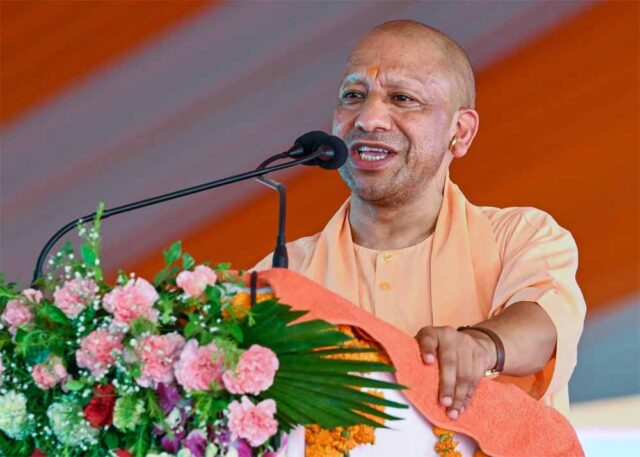 CM_yogi_01-2.jpg
