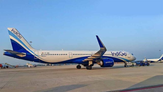 indigo-7.jpg