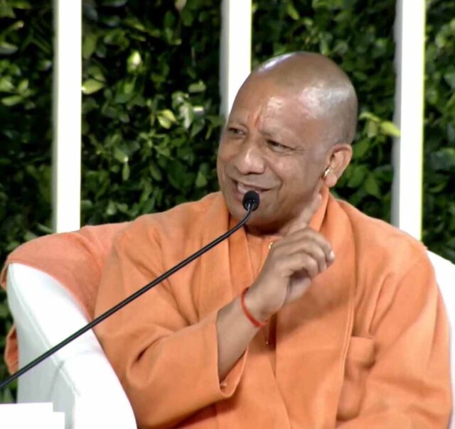 yogi-4.jpg