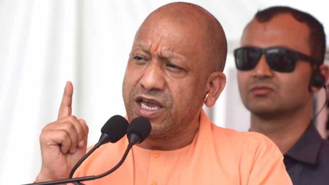 yogi3-1.jpg