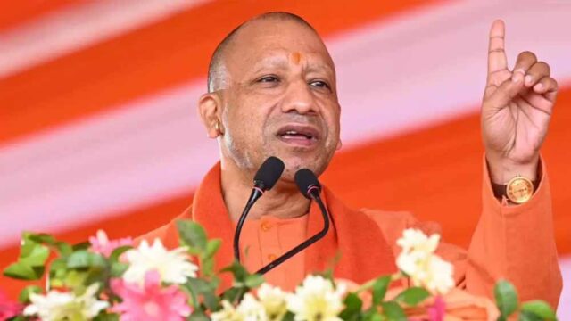 yogi6-7.jpg