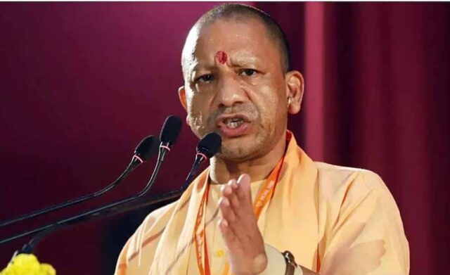 yogi_102_1-4.jpg